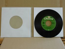 The Beatles ‎– The Beatles' Voice