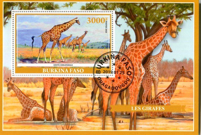 Tutti i francobolli: Block "Giraffen". Burkina Faso. – Nuovo e nell'imballaggio originale da Basel venduto da Butsch5