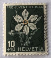 Nr.J 118 Weisse Narzisse 1946 mit Stempel Zürich