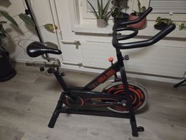 Heimtrainer von Gorilla Sports