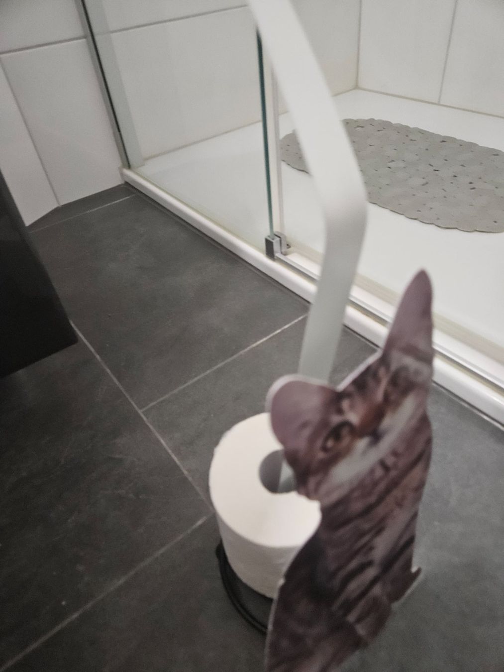 Supporti a parete: Katzen-Klorollen-Halter – Usato da Jegenstorf venduto da Franziska0111