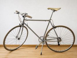 Velo - MAY Ltd. - YIWU Chrome Citybike