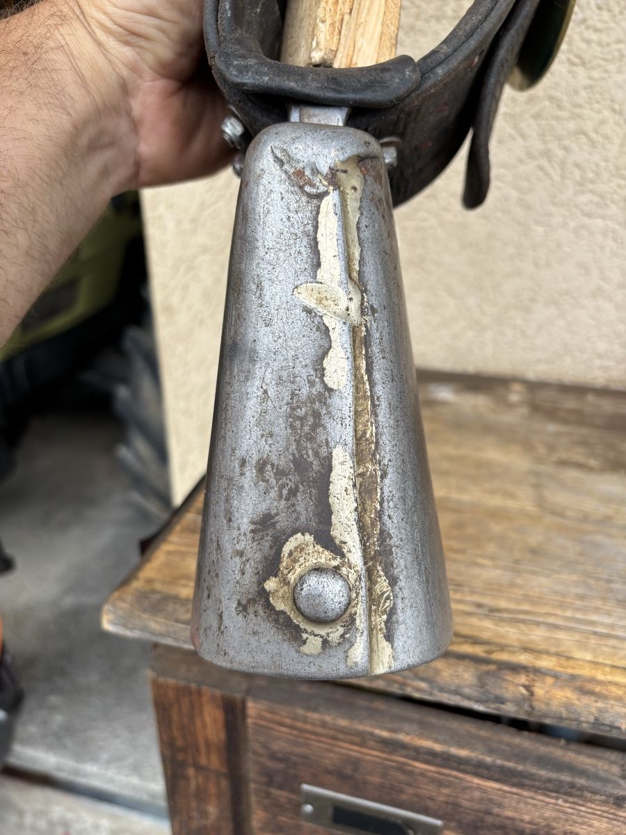 Campanacci mucche: Tresch Bisse – Usato da Schangnau venduto da Roseggli82 6