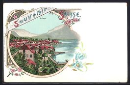 Lithographie Brienz, Vue Générale