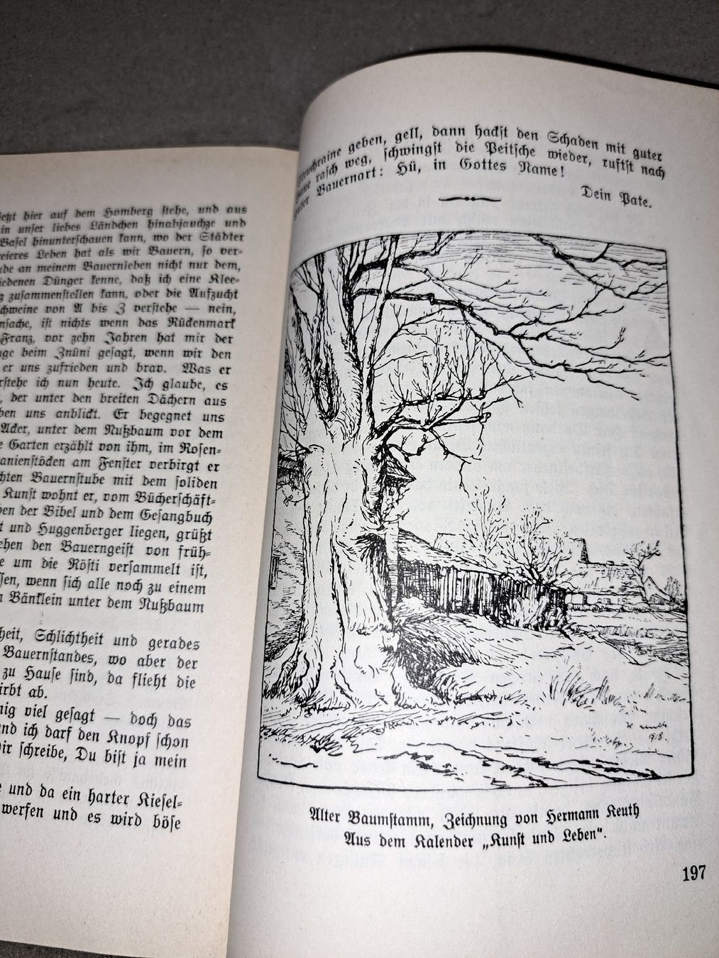 Libri: Jugendborn 1924 & 1939, alte Schweizer Schulbücher,  – Usato da Kölliken venduto da Upcycling-by-Mc-TAM 4