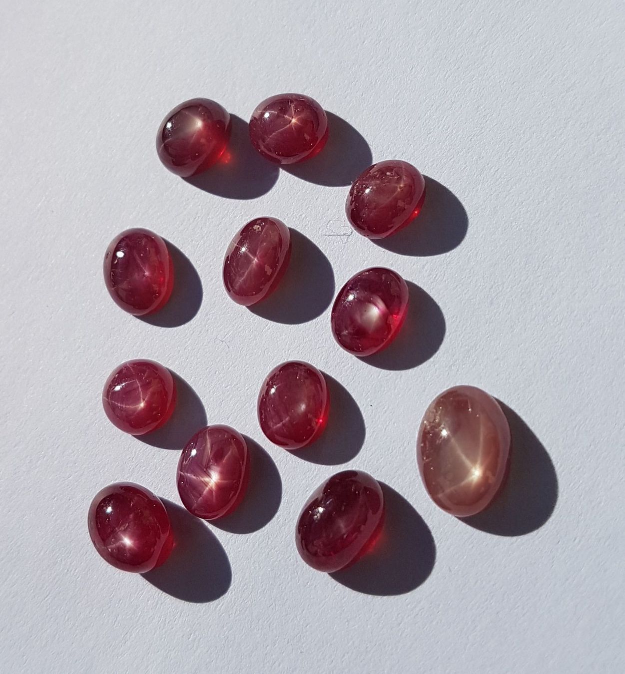 Pietre preziose: Rubin Oval 12.45ct – Nuovo e nell'imballaggio originale da zuerich venduto da Jewlsdesign