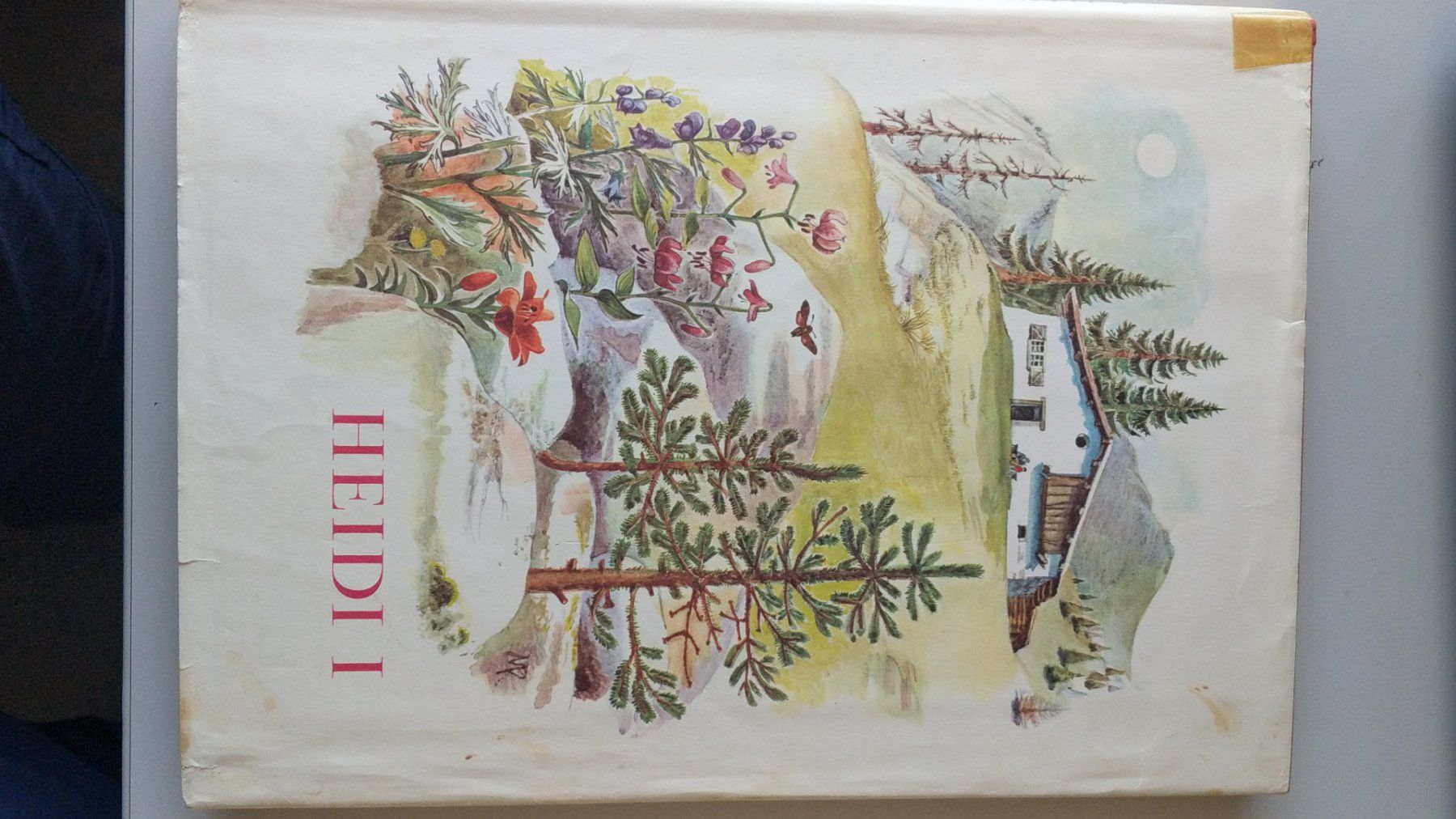 Libri: Heidi I Buch antik 1944 – Usato da Baden venduto da vongillus