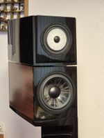 Vienna Acoustics Klimt the Kiss (NP 12'500.-CHF) 