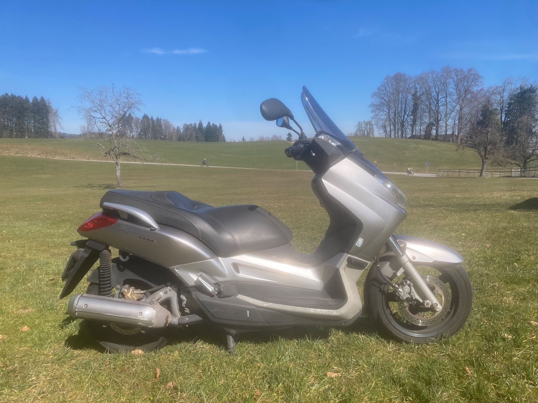 Yamaha Scooter: Yamaha 250 yp – Usato da St. Gallen venduto da zx10r 5