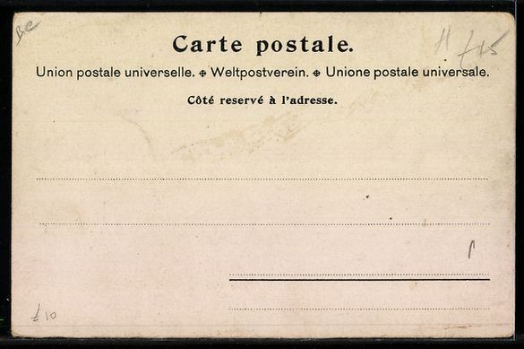 Fotos, Briefe & Postkarten: Litho schweizer Infanterie im Gefecht, T – Gebraucht aus Berlin von bartko-reher 1
