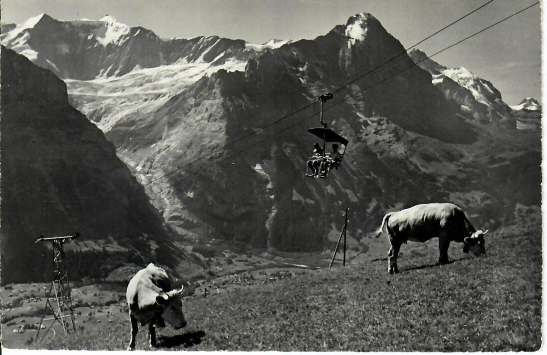 Cartoline postali: Sesselbahn - Grindelwald First – Usato da Hochdorf venduto da Ziegel-16