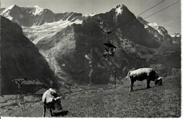 Sesselbahn - Grindelwald First