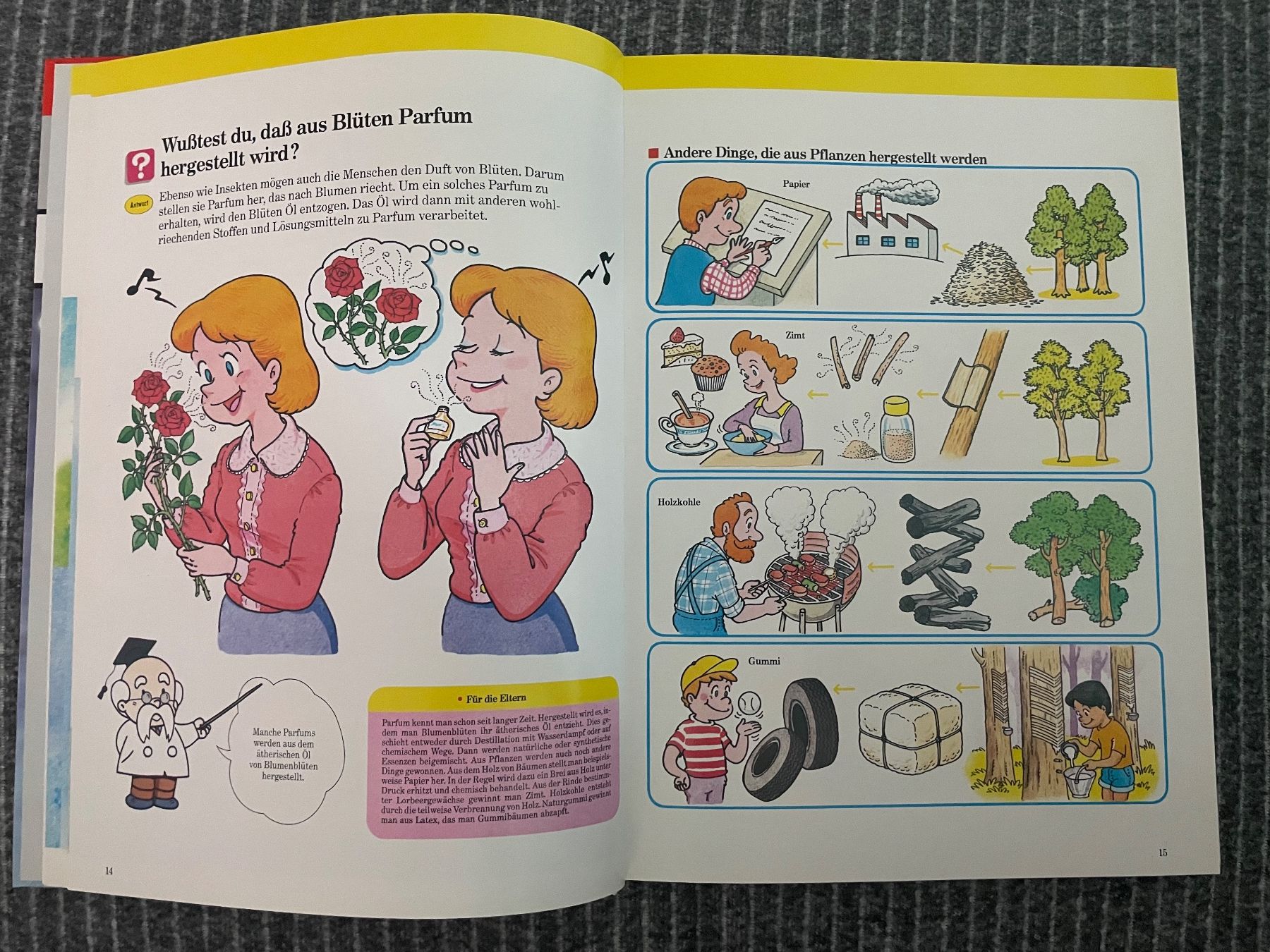 Libri: Kinder entdecken... 'Pflanzen und Bäume' KULT – Nuovo (secondo la descrizione) da Dierikon venduto da Butcherboy 2