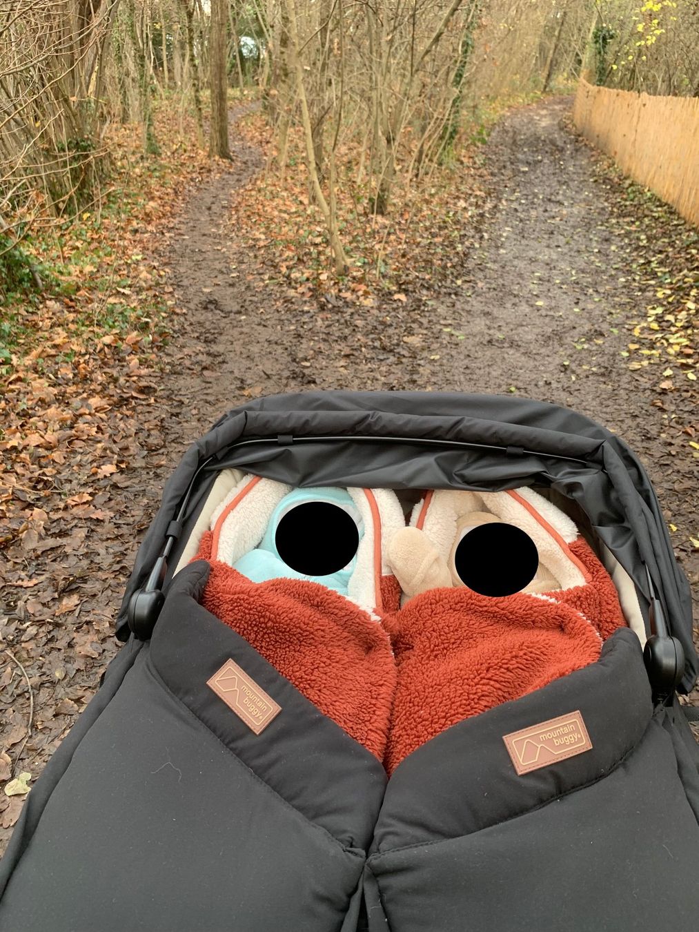 Mountain Buggy Carrozzine: Carrycot plus for twins mountain buggy – Usato da Chêne-Bourg venduto da livnorway 1