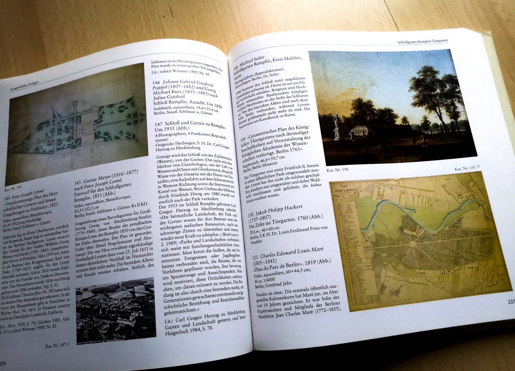 Libri: Peter Joseph Lenné - Volkspark und Arkadien – Usato da Sargans venduto da Botanico 7