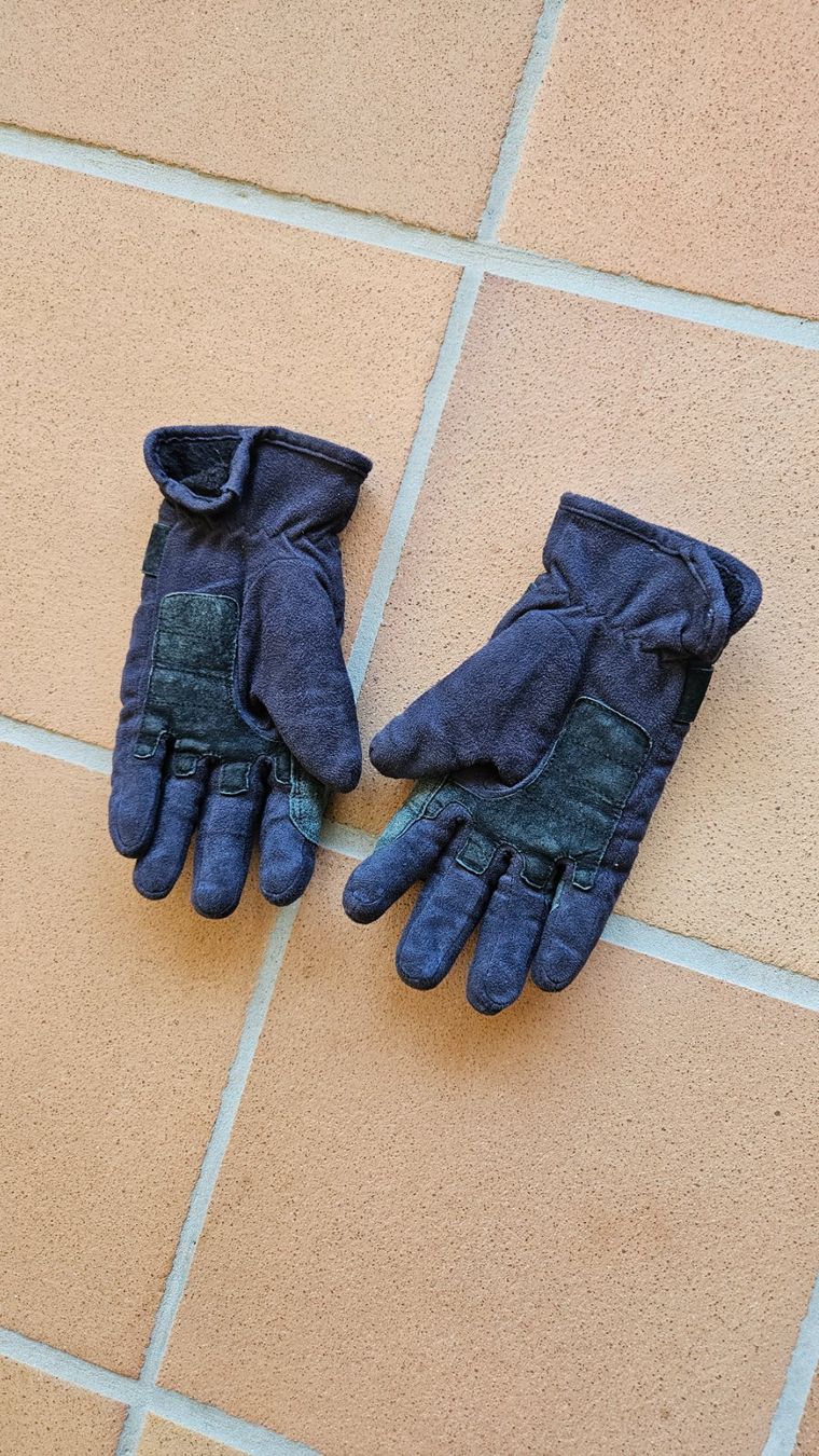 Guanti: Reithandschuhe Winter Steeds – Usato da Bubikon venduto da diditoto 1