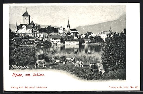Cartoline postali: AK Spiez, Ortsansicht mit Schloss – Usato da Berlin venduto da bartko-reher