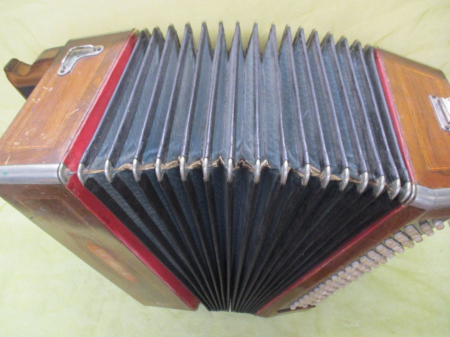 Strumenti musicali: Akkordeon Hercule – Usato da Jegenstorf venduto da Oktavio 4