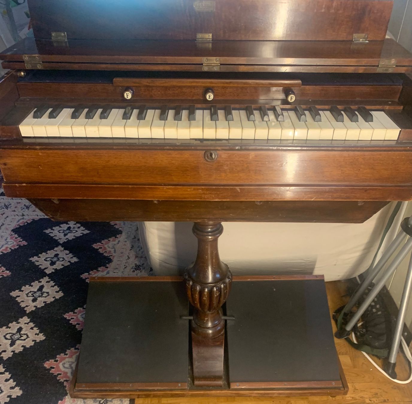 Strumenti musicali: Antikes Reise Harmonium  Physharmonika – Usato da Grabs venduto da mayram27 1