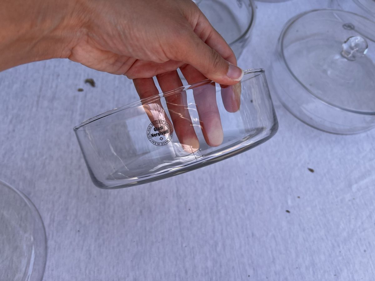 Verres: Glas Schalen mit Deckel (70) – D'occasion à Glattfelden par maa_qcj8 4