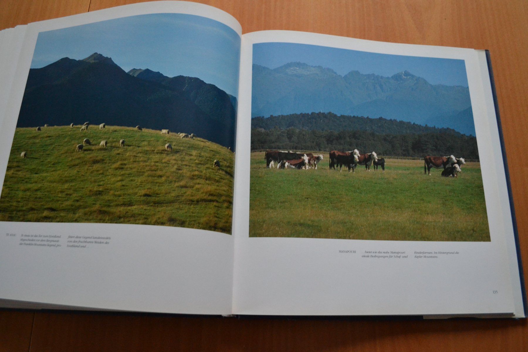 Libri: Neuseeland 180 Seiten – Usato da Beinwil am See venduto da kajak55 6