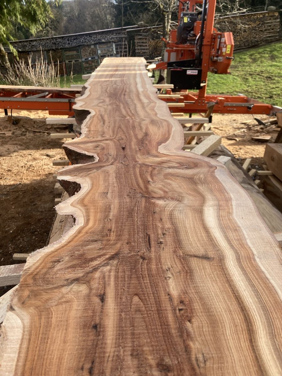 Articles en bois: Eibe klotzbretter – Neuf avec emballage d'origine à Wald AR par Mark92
