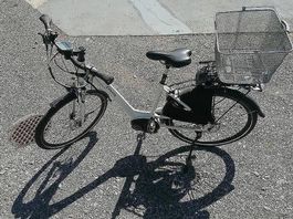 Gut erhaltenes E-Bike Cresta eDrive Bosch eViva Mono 46