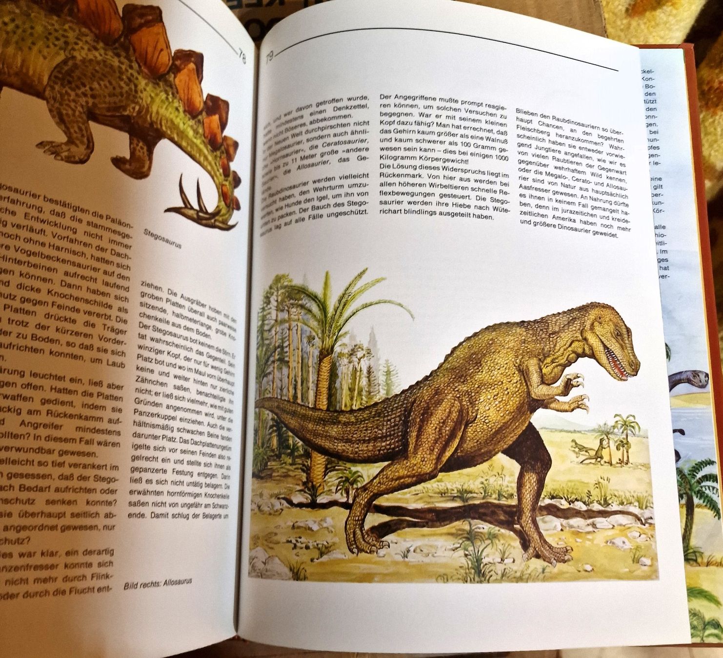 Livres: Dinosaurier und andere Tiere der Urzeit – D'occasion à Winterthur par Versus0 4