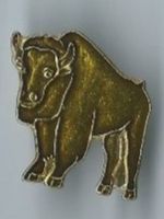 Tier  Pin