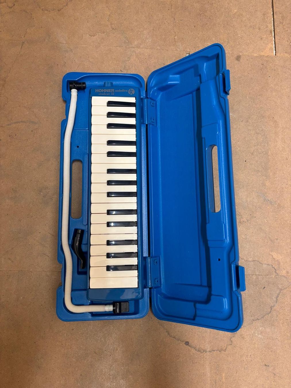 Instruments de musique: Hohner Melodika – D'occasion à Zürich par valentingmuer