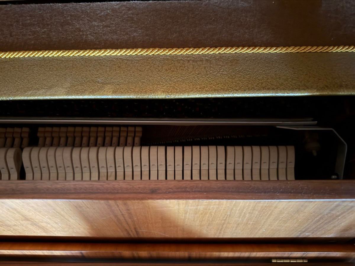 Strumenti musicali: Klavier der Marke Furstein Farfisa – Usato da Toffen venduto da Samson74 3