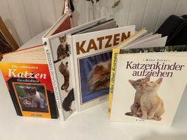 5 Katzenbücher, Ratgeber, Wissen, Kinder