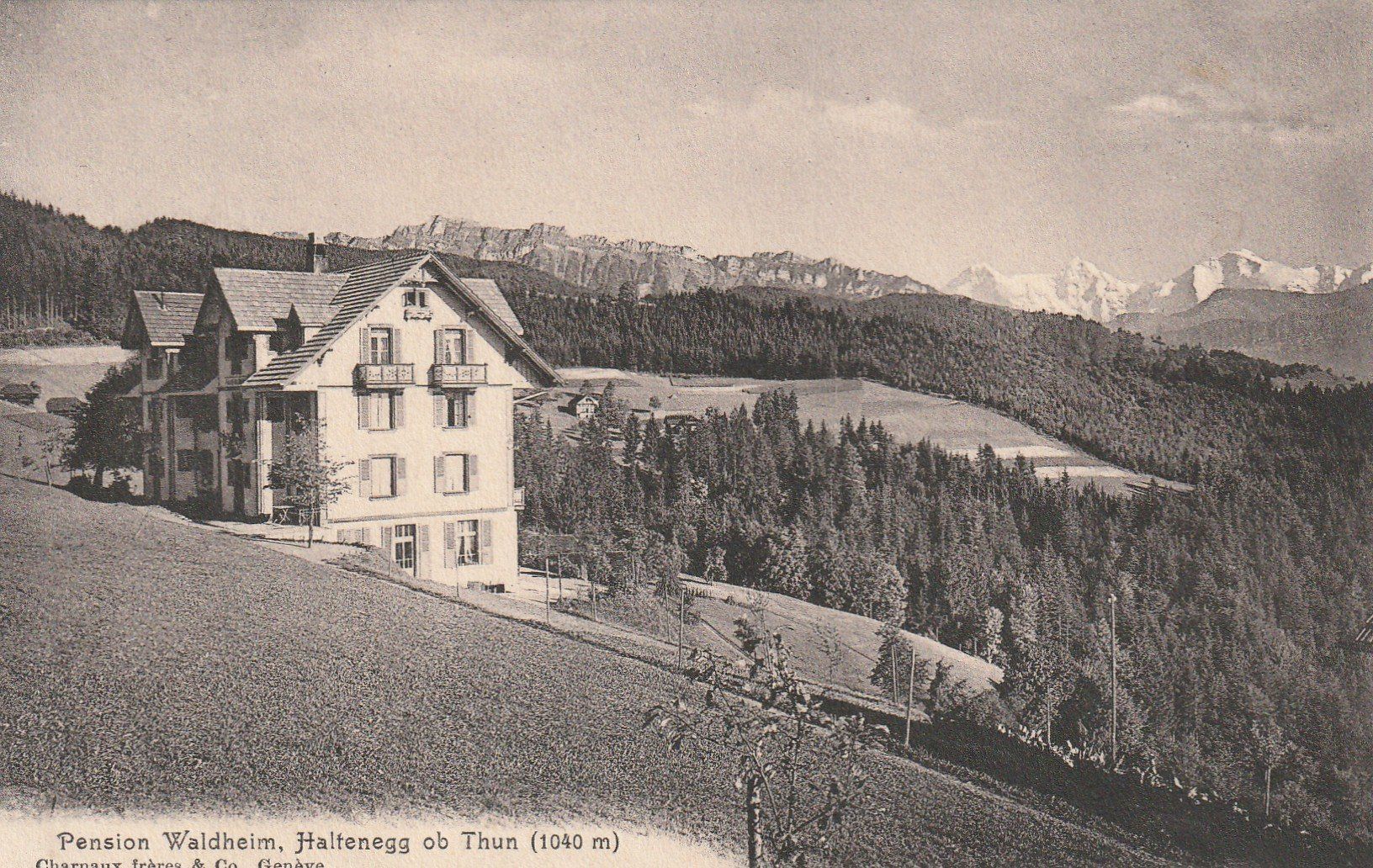 Cartoline postali: Ansichtskarte Pension Waldheim Haltenegg Thun 1913 – Usato da Rupperswil venduto da Ema10