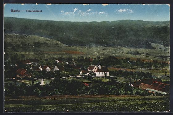 Cartoline postali: AK Bachs, Totalansicht, 1921 – Usato da Berlin venduto da bartko-reher