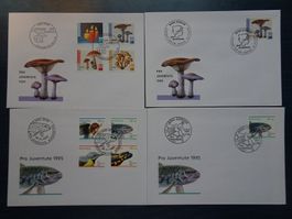 PJ 1994-95