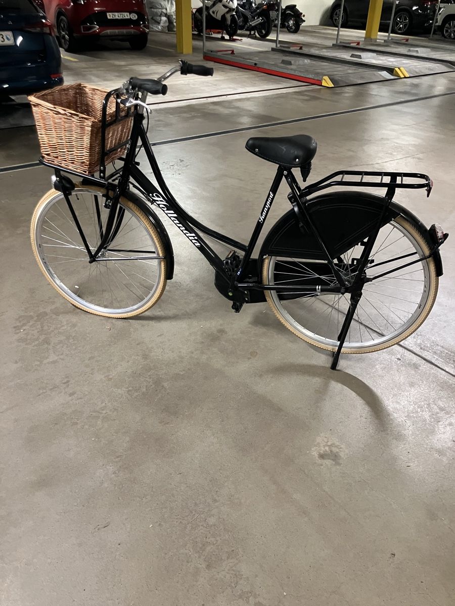 Biciclette: Holland Velo – Usato da Gattikon venduto da Oetti1 6