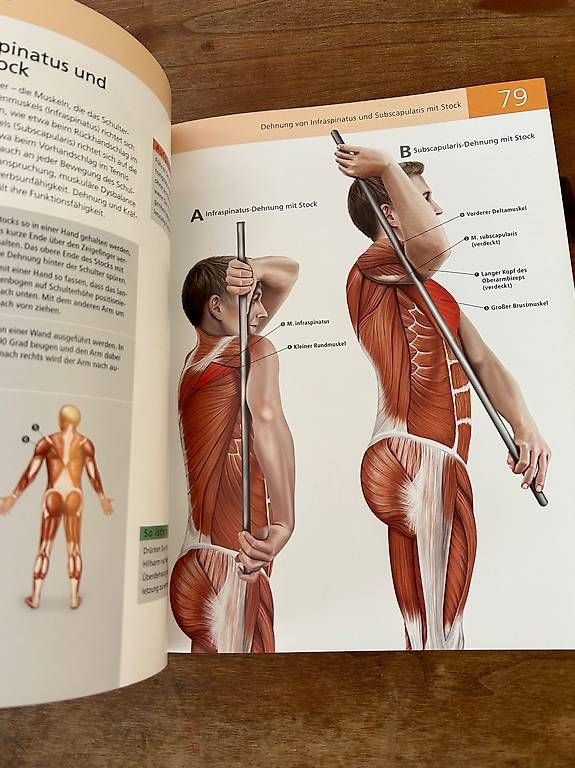 Libri: Die Anatomie des Stretchings - Prof. Ken Ashwell – Usato da Bern venduto da IU_Nicu 1