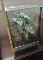 Terrarium Glas Top Zustand, wurde eingerichtet und nie gebra