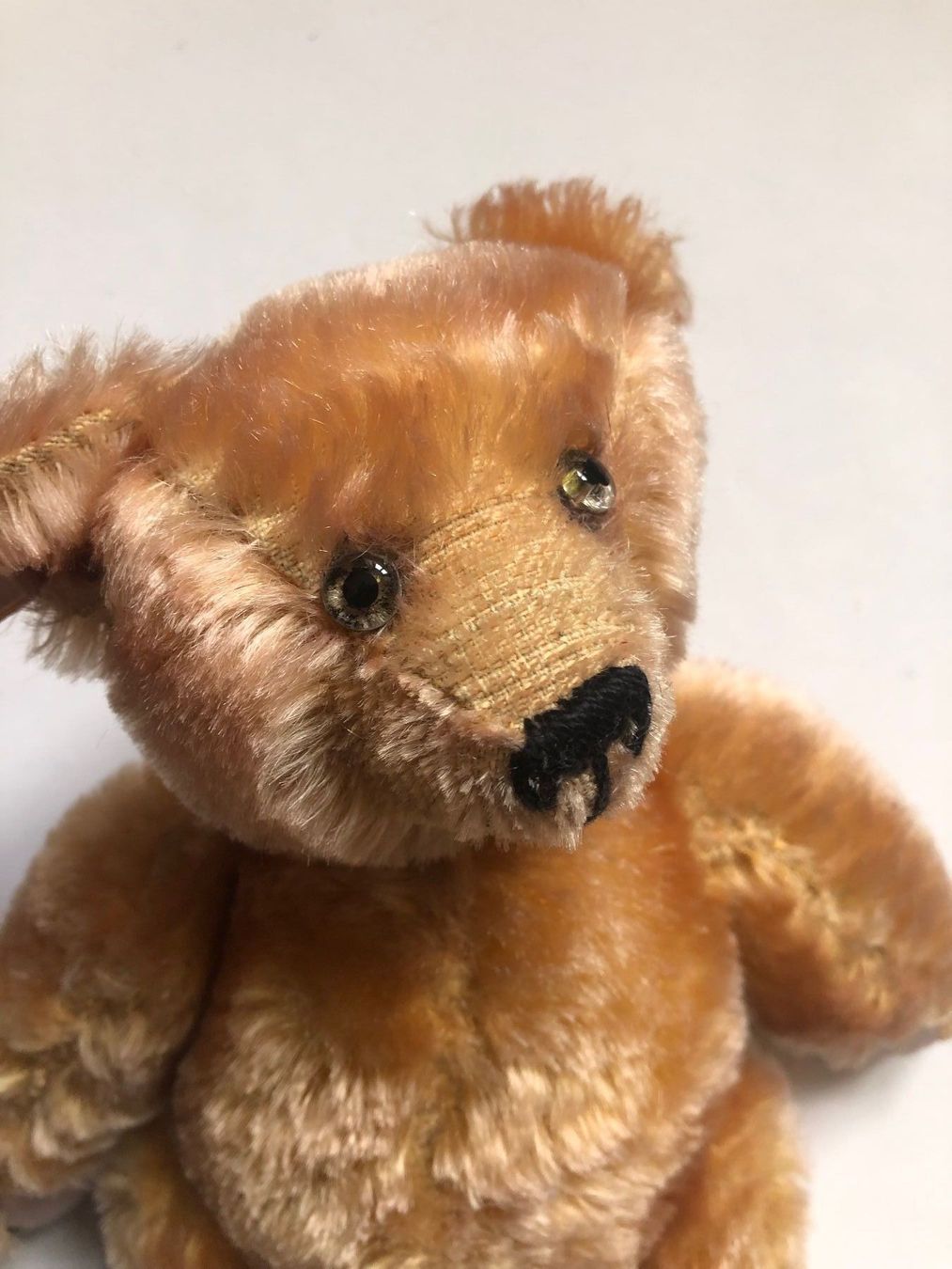 Spielzeuge: Ours en peluche – Gebraucht aus Arnex-sur-Orbe von cameleonfringant