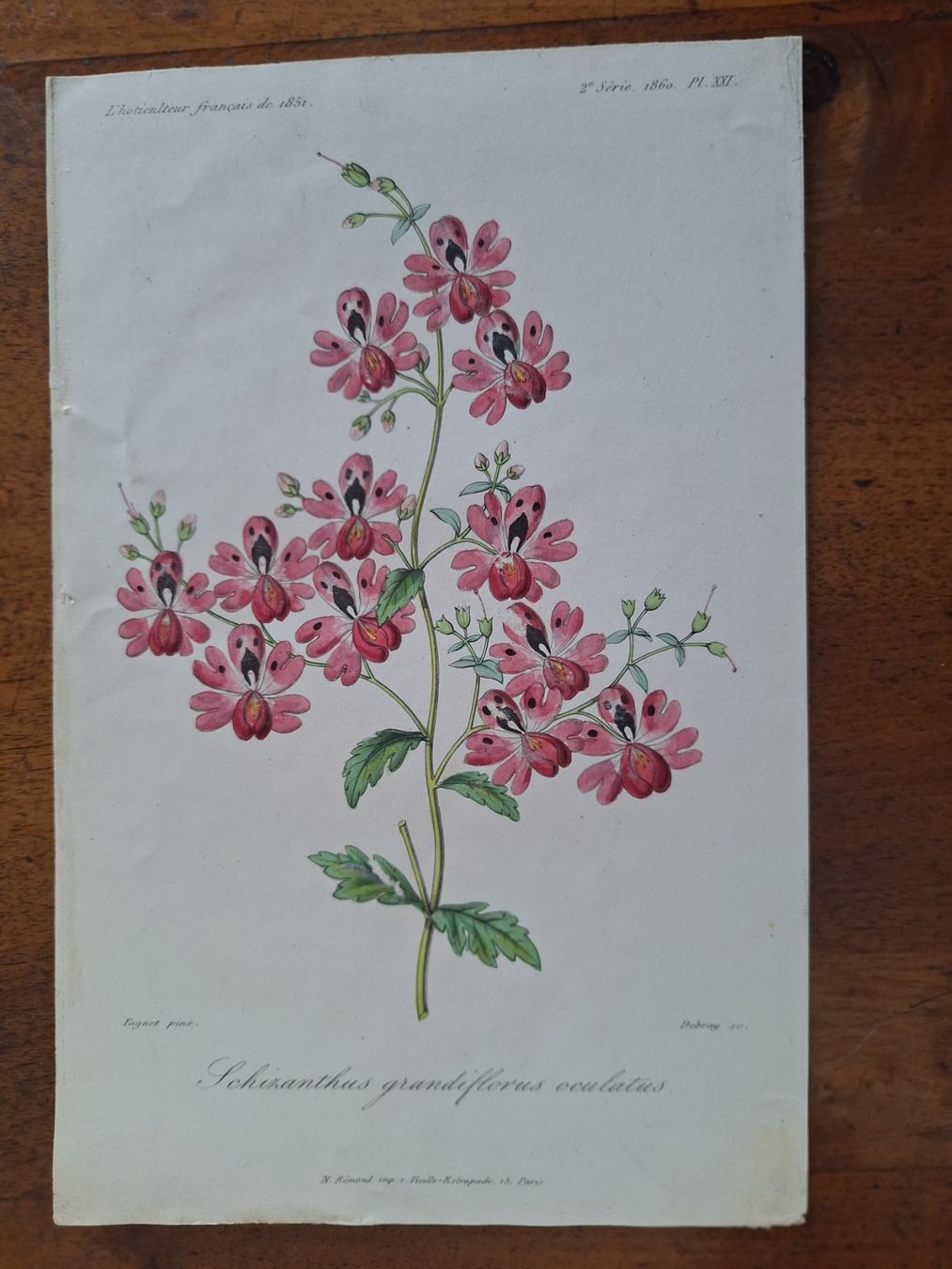 Stiche: FLEURS  6 GRAVURES – Gebraucht aus Bevaix von bohrap 3
