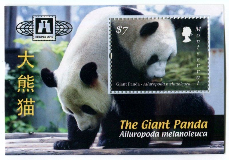 Tutti i francobolli: Block "Grosse Panda". Montserrat. – Nuovo e nell'imballaggio originale da Basel venduto da Butsch5