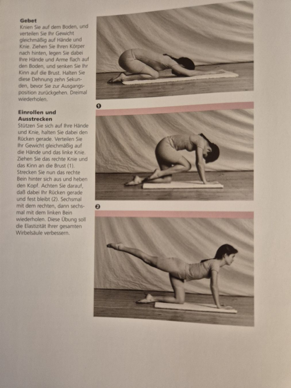 Libri: Bauch und Rücken – Nuovo (secondo la descrizione) da Domat/Ems venduto da ver_7q9b 5