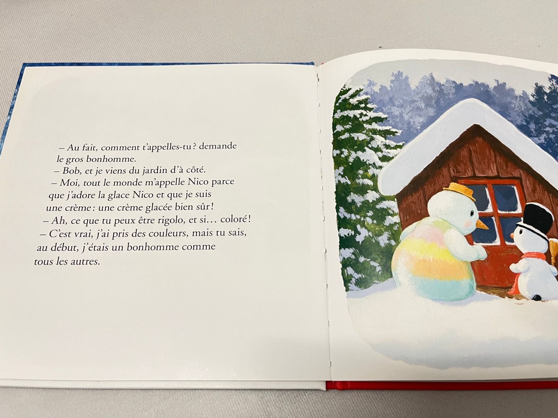 Libri: Bonhomme de neige – Usato da Malleray venduto da ste_rx2t 2