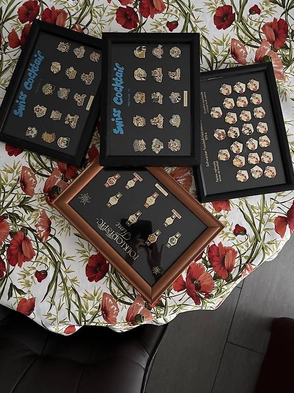 Broschen & Nadeln: Pins's – Gebraucht aus Biel/Bienne von nic_j8xx