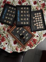 Pins's