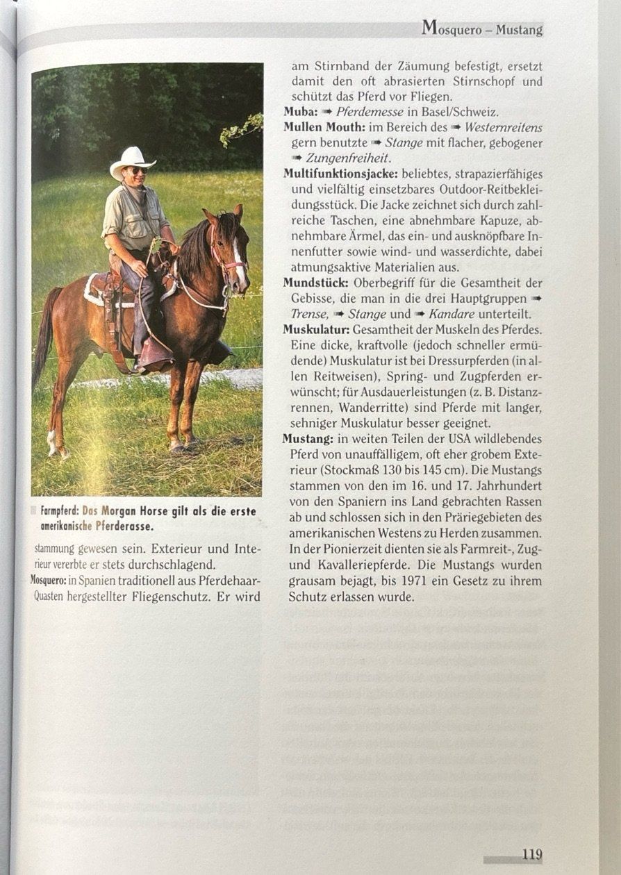 Libri: Freizeitreiten von A-Z – Nuovo e nell'imballaggio originale da Sarnen venduto da Livres 5