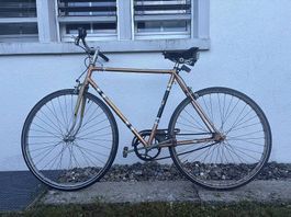 Singlespeed Velo Stadtvelo Rennvelo