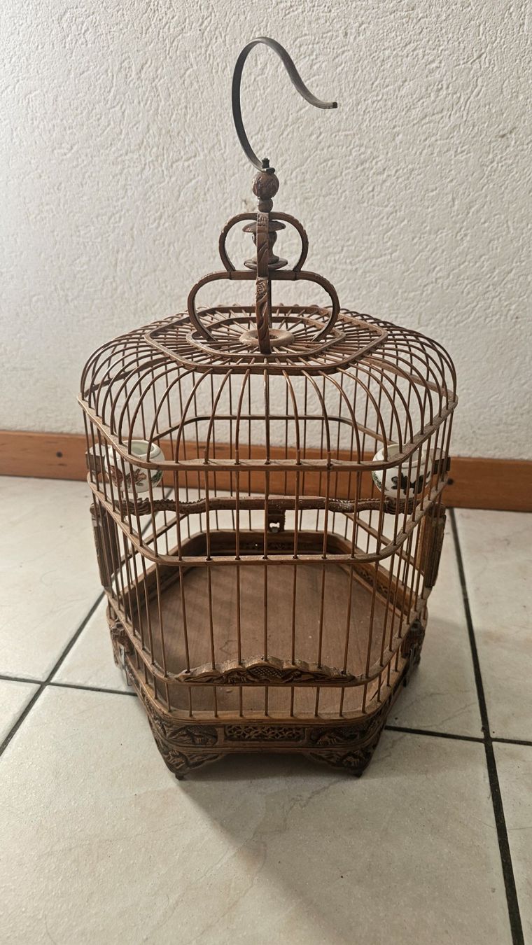 Cage Oiseaux Occasion Particuliernull