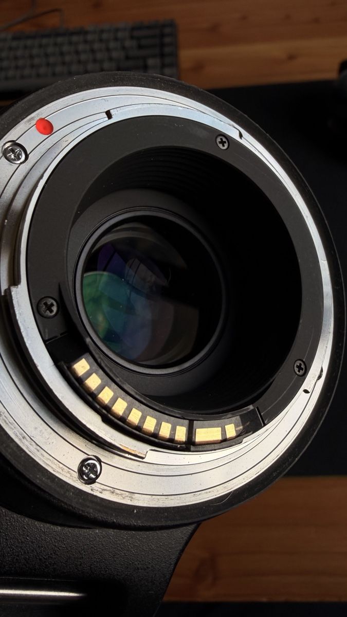 Sigma Obiettivi: Sigma EF 150-600 f5-6.3 DG – Usato da Schlieren venduto da KenW 2