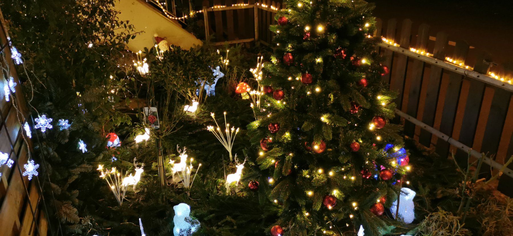 Tutte le decorazioni: Weihnachtsdeko aussen – Usato da Kefikon TG venduto da msa_7zdv 4